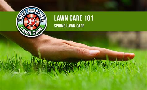 Lawn care 101: Spring